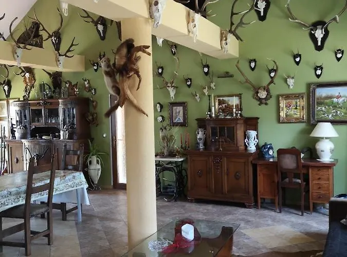 Oaza Spokoju * Lednogora